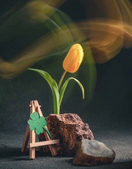 Coram Esprit – accompagnement en développement personnel et professionnel