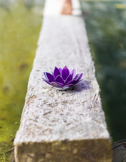 Coram Esprit – accompagnement en développement personnel et professionnel